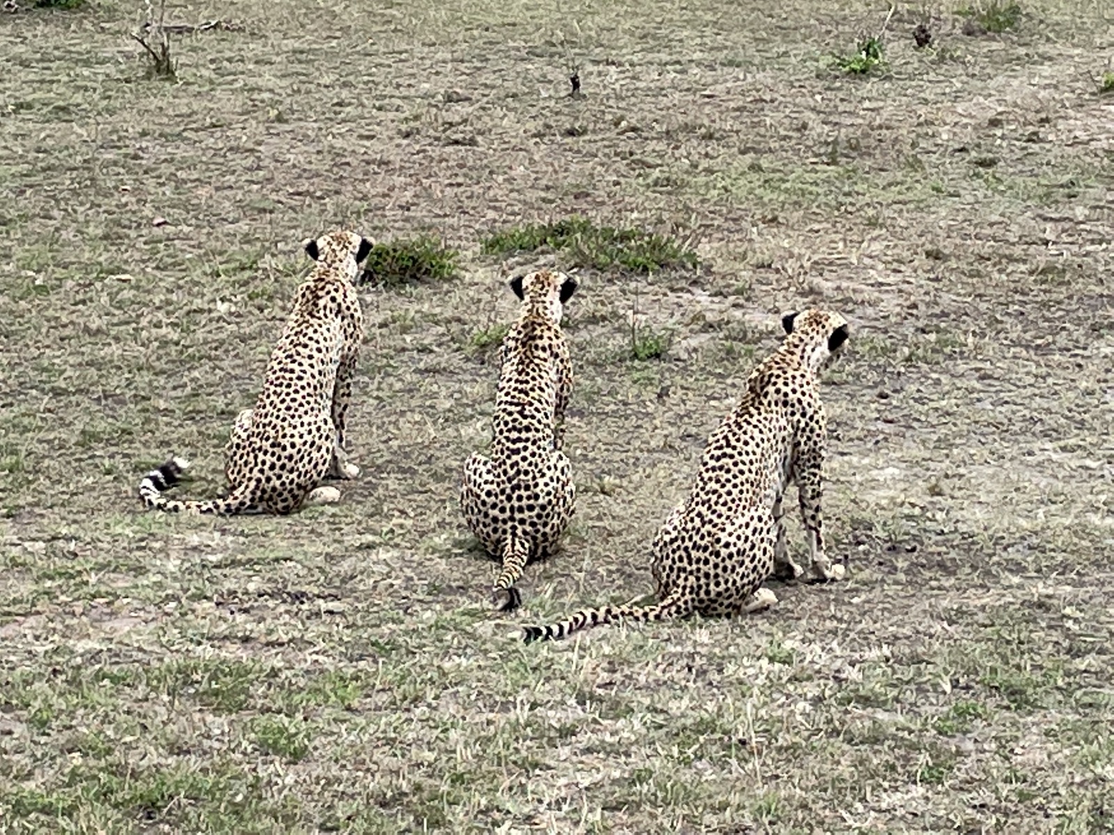Kenya & Seychelles — photo 3