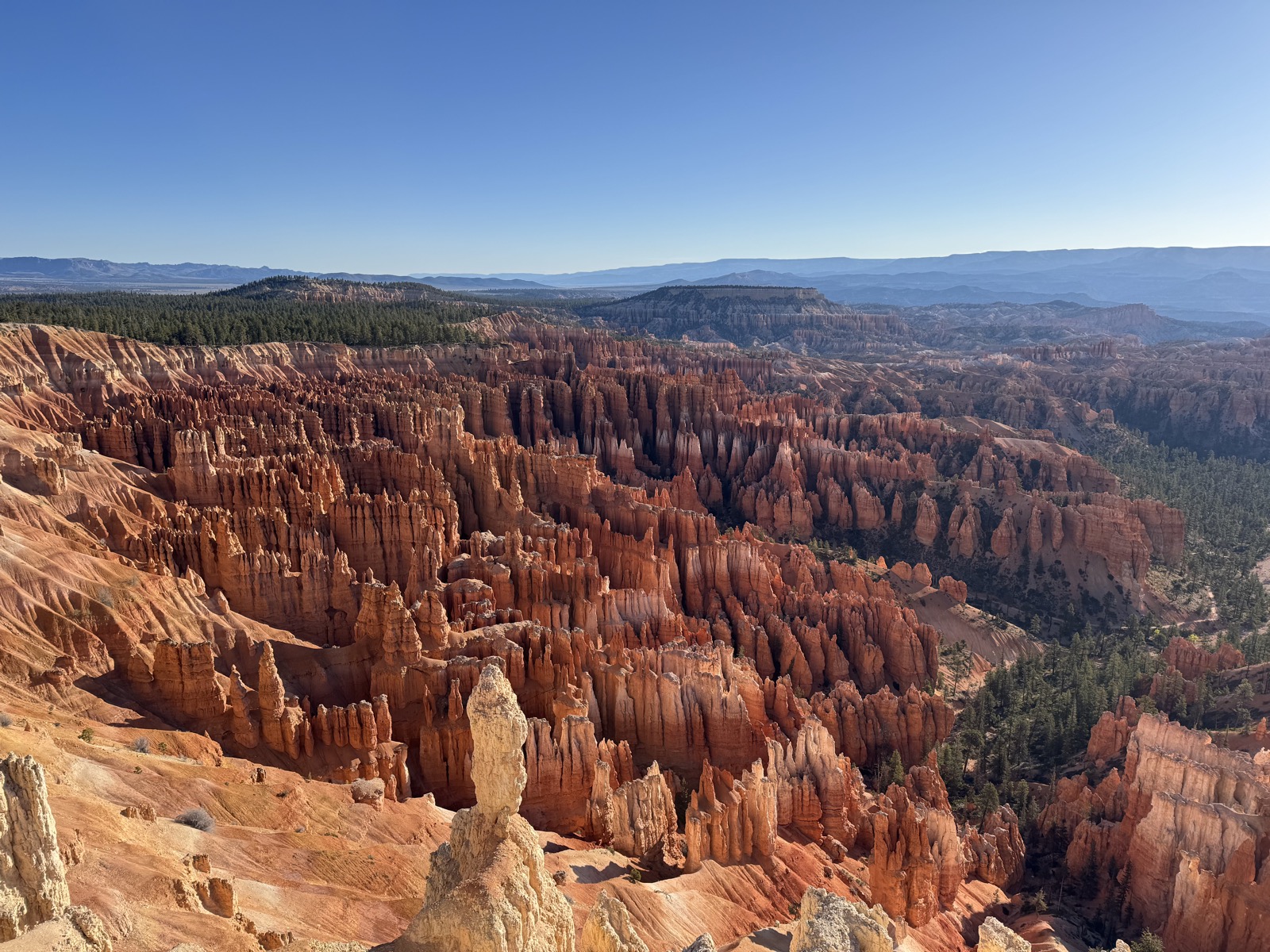 Utah & Arizona National Parks — mid-trip