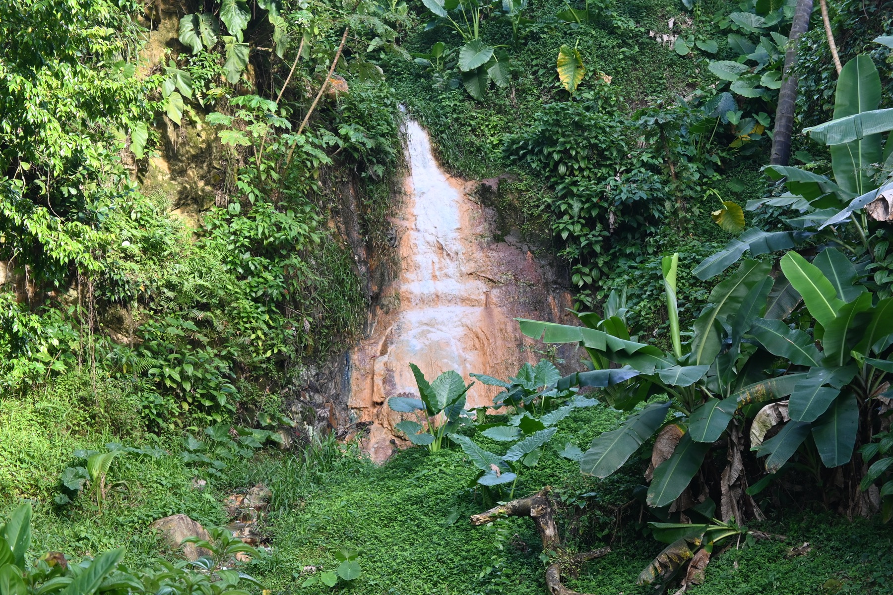 Caribbean