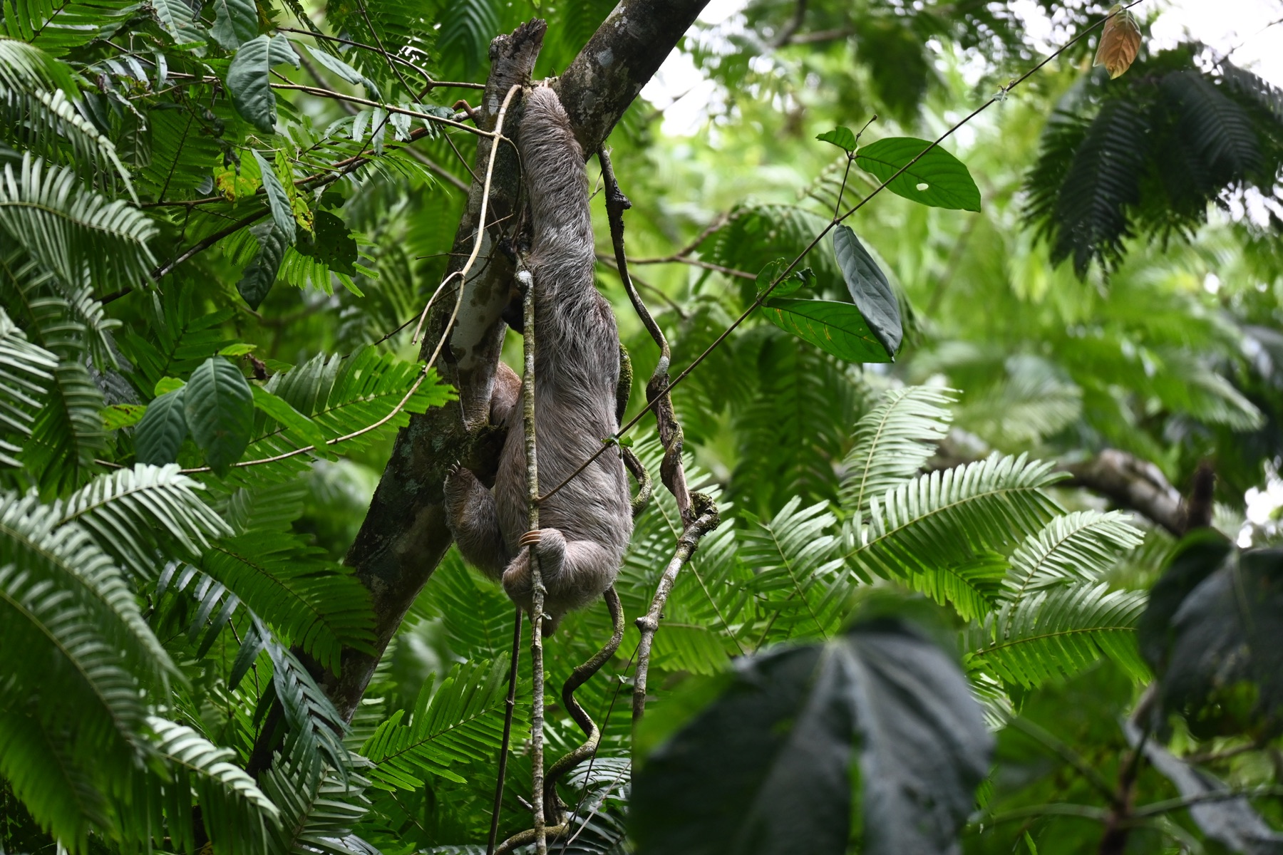 Costa Rica