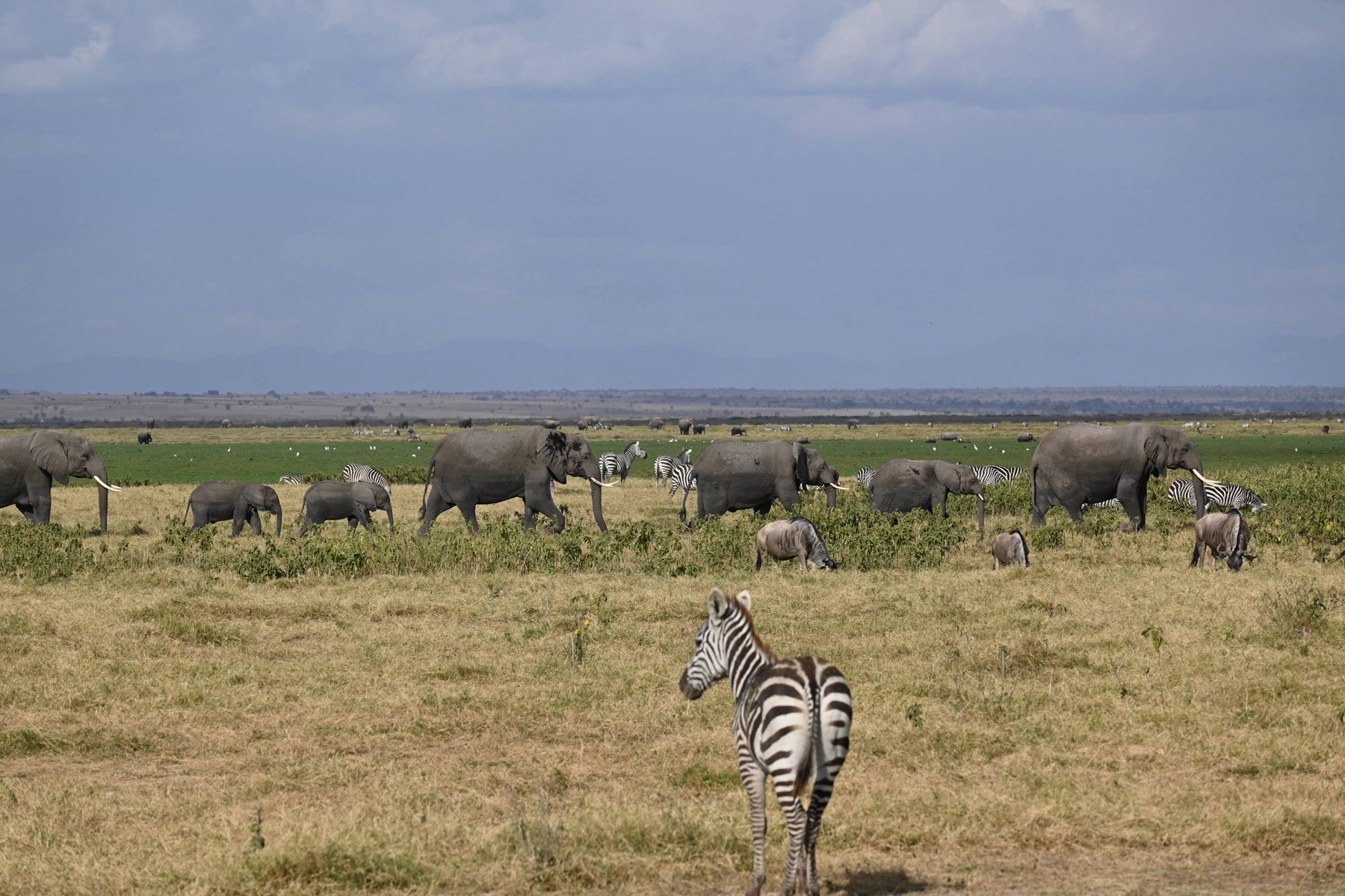 Kenya & Seychelles